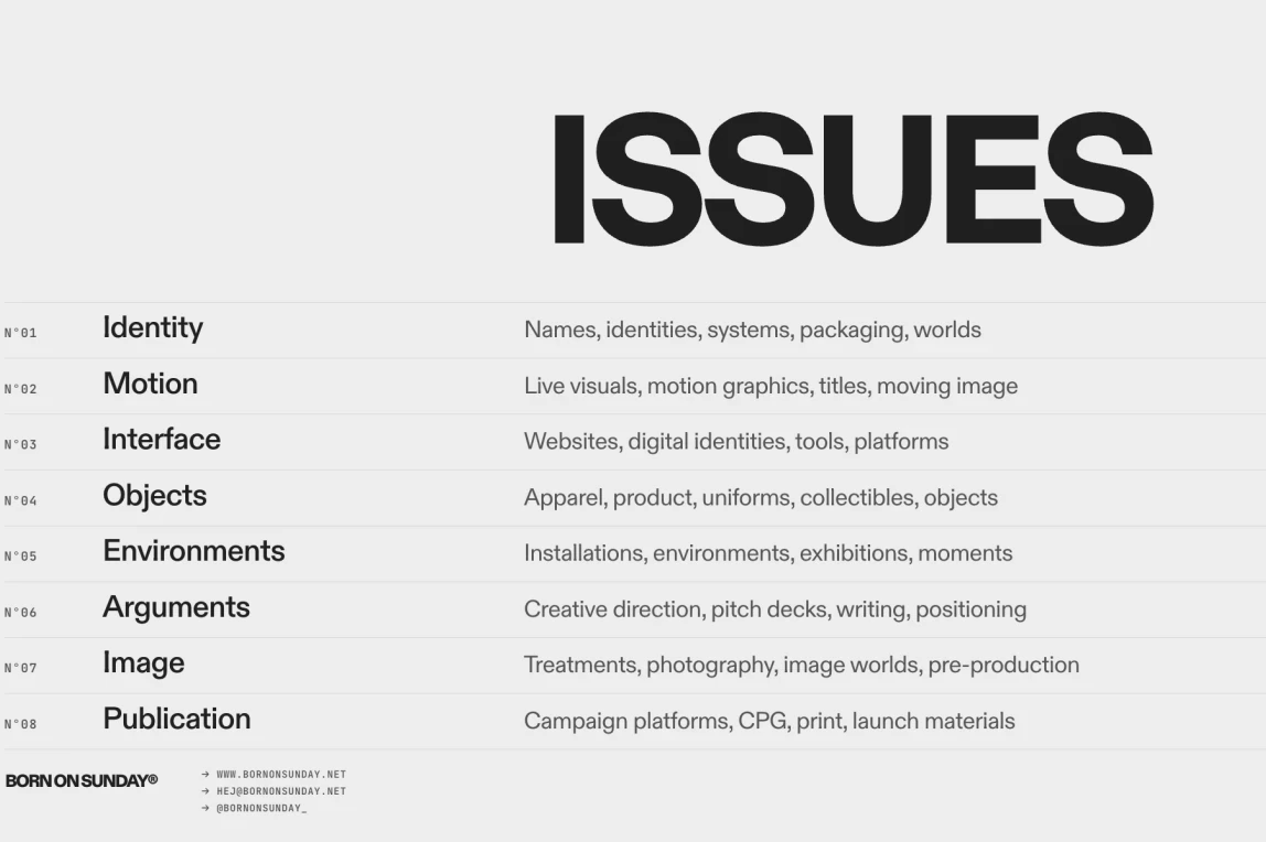 The Issues slide: eight disciplines, from Identity and Motion to Publication, each with its scope.