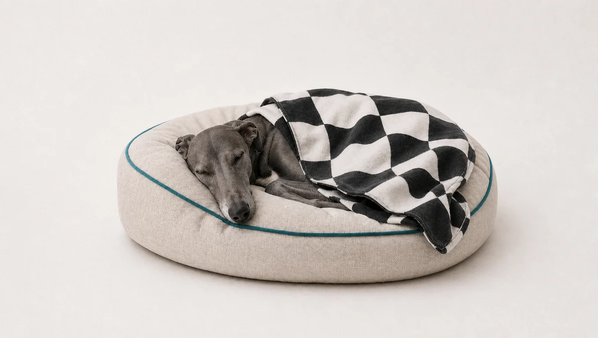 A retired greyhound asleep on a round bed under a checkered blanket.